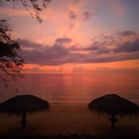 Trinco Beach By Dsk ตรินโคมาลี ภายนอก รูปภาพ